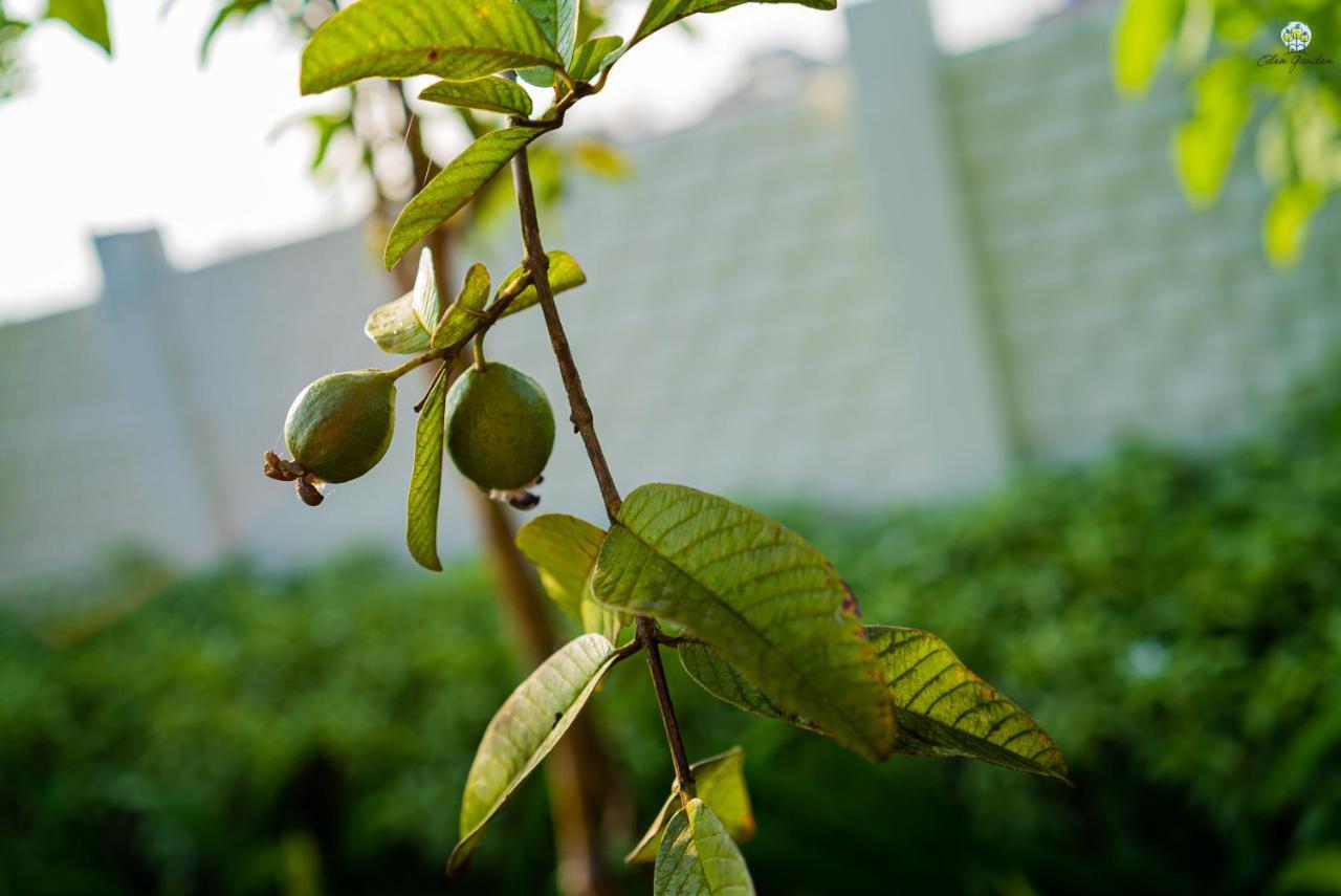 Eden Garden Βίλα Alībāg Εξωτερικό φωτογραφία